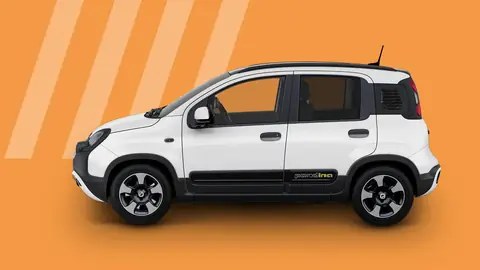 FIAT Pandina Cross, fotografia ufficiale 1